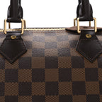 Damier Ebene Speedy 25