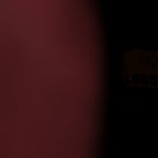 Patent Small Boy Reverso Flap Burgundy