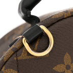 Monogram Palm Springs Backpack Mini