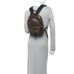 Monogram Palm Springs Backpack PM