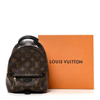 Monogram Palm Springs Backpack Mini