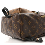 Reverse Monogram Palm Springs Backpack PM