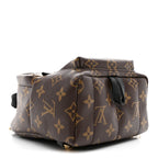 Monogram Palm Springs Backpack Mini