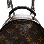 Monogram Palm Springs Backpack Mini