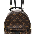 Monogram Palm Springs Backpack Mini