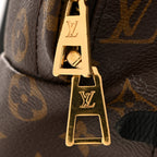 Monogram Palm Springs Backpack MM