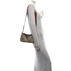 GG Supreme Monogram Textured Dollar Calfskin Web Small Ophidia GG Handbag Beige Ebony New Acero