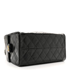 Shiny Crumpled Calfskin Quilted Small Chanel 25 Handbag Black