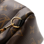 Monogram Palm Springs Backpack Mini