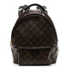 Monogram Palm Springs Backpack MM