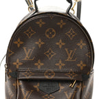 Monogram Palm Springs Backpack Mini