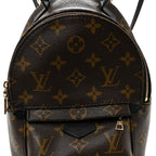 Monogram Palm Springs Backpack Mini