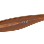 Acetate Paula's Ibiza Sunglasses LW40139U Brown Dark grey