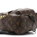 Monogram Palm Springs Backpack PM