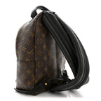 Monogram Palm Springs Backpack PM