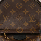 Monogram Palm Springs Backpack Mini