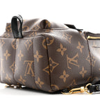 Monogram Palm Springs Backpack Mini