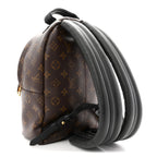 Monogram Palm Springs Backpack PM