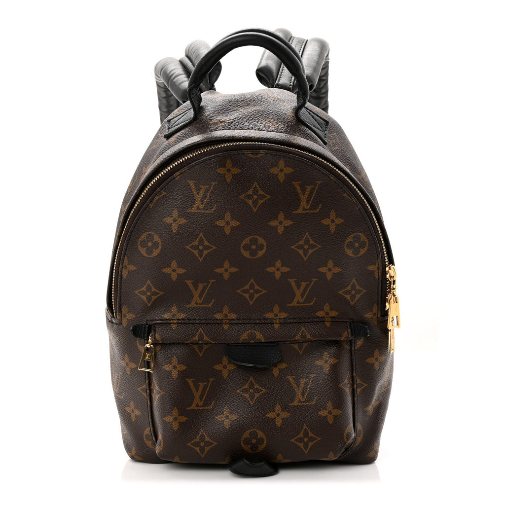 Monogram Palm Springs Backpack PM