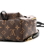 Monogram Palm Springs Backpack Mini
