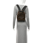 Monogram Palm Springs Backpack PM