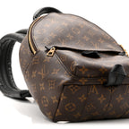 Monogram Palm Springs Backpack PM