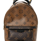 Reverse Monogram Palm Springs Backpack Mini