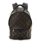 Monogram Palm Springs Backpack PM