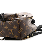 Monogram Palm Springs Backpack Mini