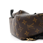 Monogram Palm Springs Backpack Mini