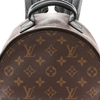 Monogram Palm Springs Backpack PM