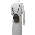 Monogram Palm Springs Backpack Mini