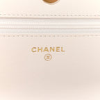 Shiny Crumpled Calfskin Quilted Chanel 19 Wallet On Chain WOC White