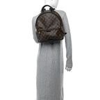 Monogram Palm Springs Backpack MM