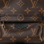 Monogram Palm Springs Backpack Mini