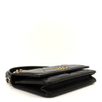 Lambskin Quilted Chanel 19 Wallet On Chain WOC Dark Brown