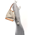 Damier Azur Noe