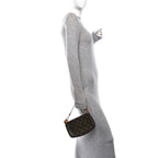 Monogram Pochette Accessories