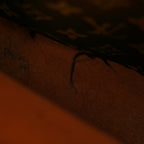Monogram Neonoe MM Caramel