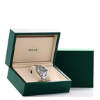 Stainless Steel 18K White Gold 36mm Oyster Perpetual Datejust Watch Mint Green 126234