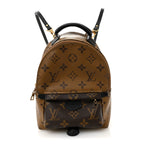 Reverse Monogram Palm Springs Backpack Mini