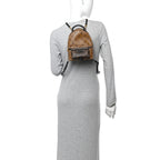 Reverse Monogram Palm Springs Backpack Mini