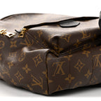 Monogram Palm Springs Backpack MM