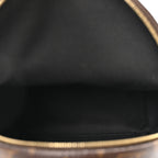 Monogram Palm Springs Backpack Mini