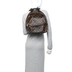 Monogram Palm Springs Backpack MM