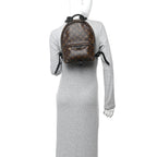 Monogram Palm Springs Backpack PM