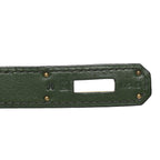 Evercolor Birkin 30 Vert Bengale