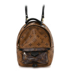 Reverse Monogram Palm Springs Backpack Mini