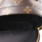 Monogram Palm Springs Backpack Mini