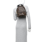 Monogram Palm Springs Backpack PM